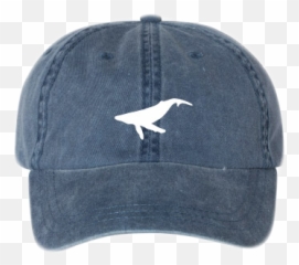 Stellwagen Beer Company - Unisex png