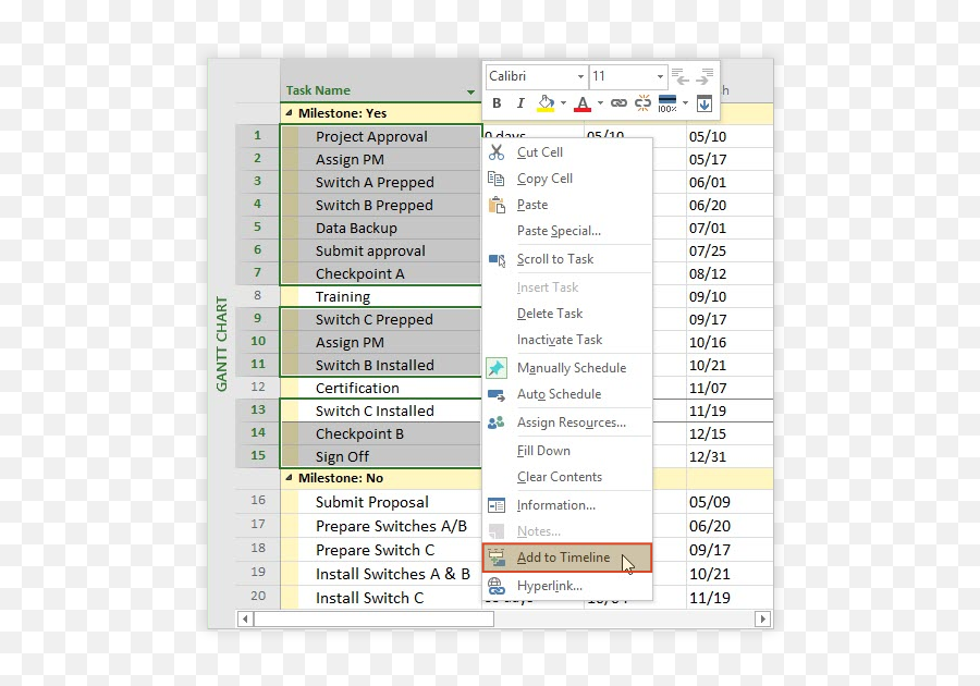 Ms Project Timeline Tutorial Free Template Export To Ppt - Milestone In A Project Proposal Png,Word Remove Paste Options Icon
