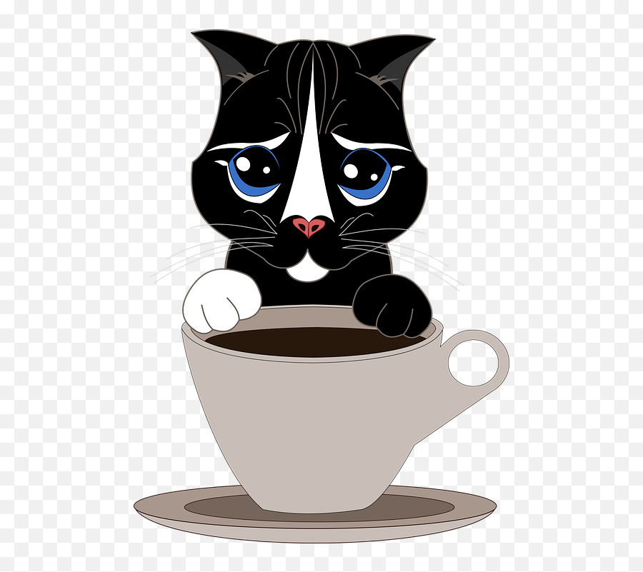 Cat Pet Cup - Free Vector Graphic On Pixabay Cat Png,Cat Vector Png