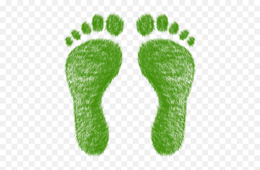 The Ecological Footprint Challenge U2014 Dr Sharon Deem Png Foot Print