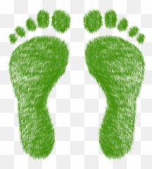 The Ecological Footprint Challenge U2014 Dr Sharon Deem Png Foot Print