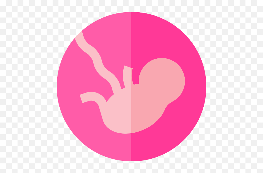 Fetus - Free People Icons Madre Y Feto Icono Png,Fetus Png