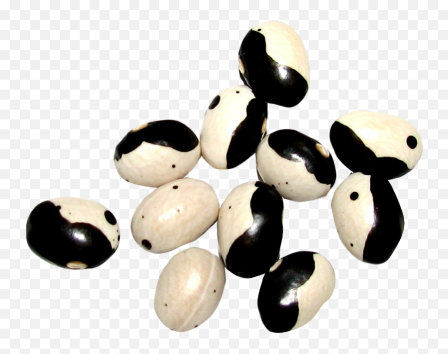 Yin Yang Beans Png Image - Purepng Free Transparent Cc0 Bead,Yin And Yang Png