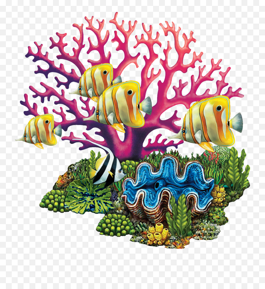 Download Clip Art Images Of Coral Reef - Coral Reef Clip Art Png,Coral Reef Png