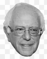 2020 Democratic Presidential Candidates - Senior Citizen png