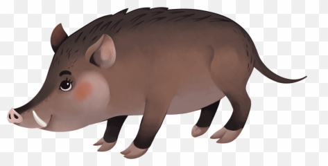 Wild Boar Clipart - Boar Clipart Png,Hog Png