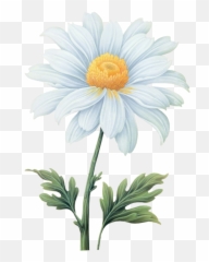 Png Images Vector Psd Clipart Templates - Daisy Flower Watercolor