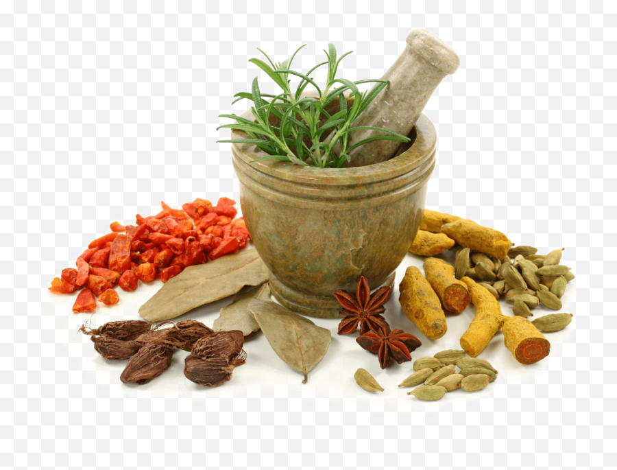 Body And Herbs - Medicine Ayurvedic Png,Herb Png