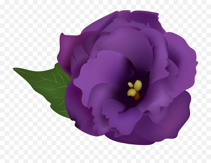 Purple Flowers Clipart Free Download Best - Purple Gladiolus Clipart Png,Purple Flowers Png