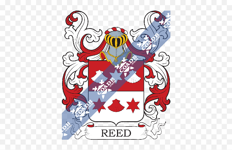 Reed Family Crest Coat Of Arms And - Baird Coat Of Arms Png,Reed Png