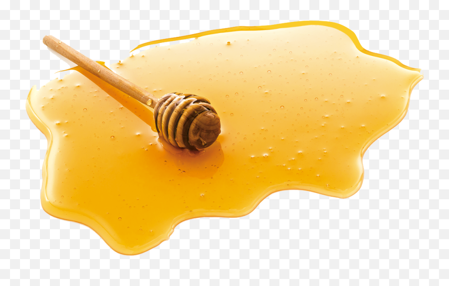 Honey Splatter Transparent Png - Transparent Background Honey Png,Honey Dripping Png