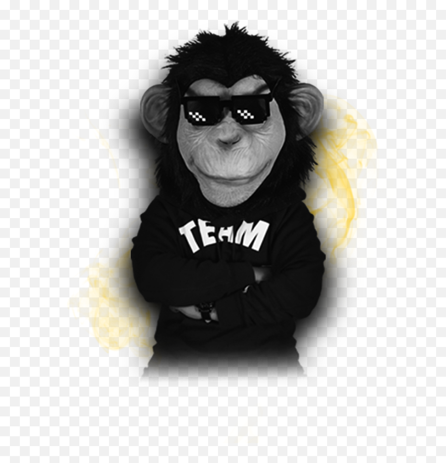 King Kong Marking U0026 Design - Old World Monkeys Png,King Kong Transparent