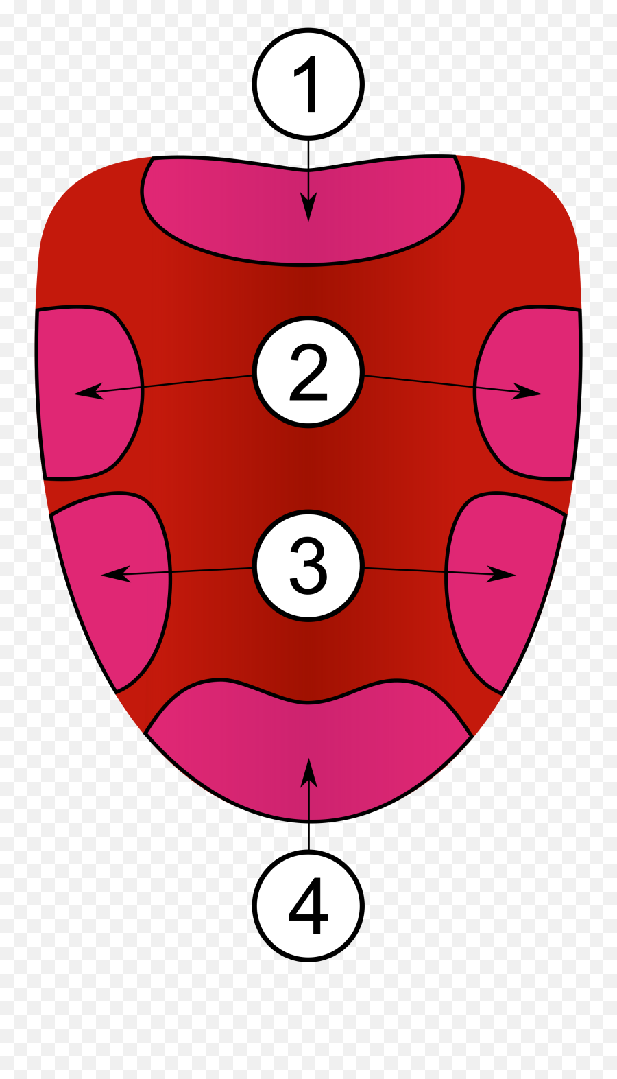 Tongue Map - Parts Of The Tongue Grade 2 Png,Tounge Png