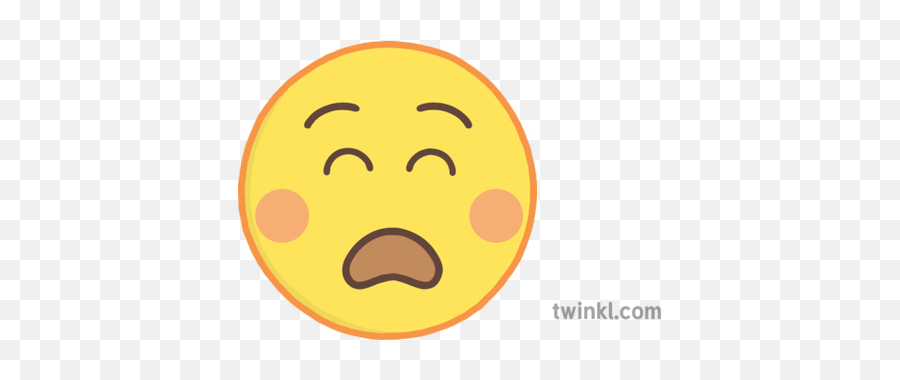 Roi Sen Resources Feelings Wheel Ks1 - Twinkl Monster Png,Scared Emoji Png