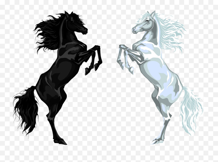 Arabian Horse Stallion Euclidean Vector Illustration - White Black And White Horse Png,White Horse Png