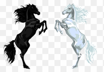 Arabian Horse Stallion Euclidean Vector Illustration - White Black And White Horse Png,White Horse Png