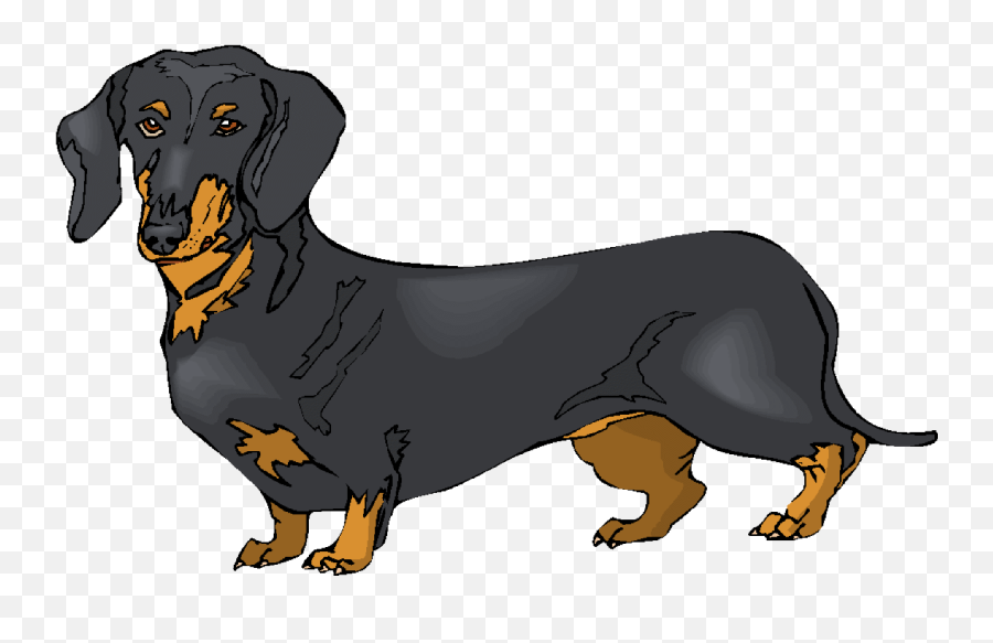 Black Clipart Dachshund - Dachshund Custom Throw Blanket Dachshund Dog Clipart Png,Dachshund Icon