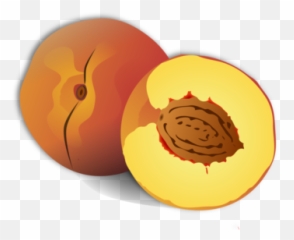Peaches Photo Background Transparent Png Images And Svg - Nectarine Clipart,Peaches Png