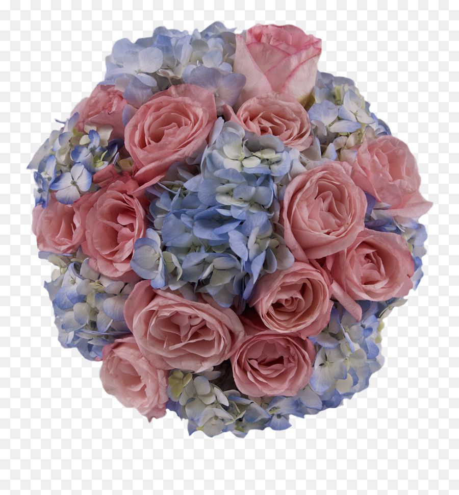 Baby Shower U2013 Flowersbynumbercom - Garden Roses Png,Baby Shower Png