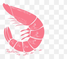 Puresnacks Cat Additional Advertising Assets Retaileru0027s - Illustration Png,Shrimp Png