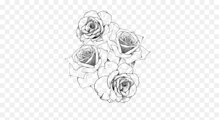 Tattoo Drawing Rose Png File Hd Clipart - Roses Tattoo Design,Teardrop Tattoo Transparent
