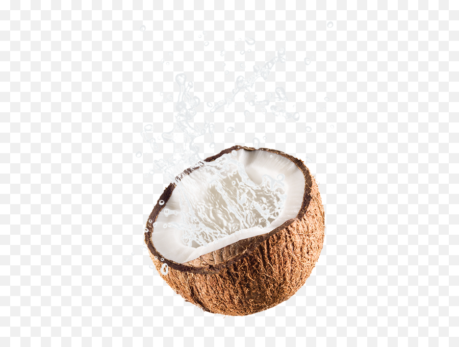 Coconut Free Png Image - Transparent Background Coconut Png,Coconut Png