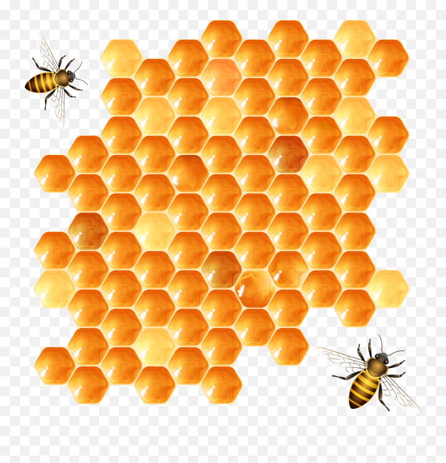 Honey Png Transparent
