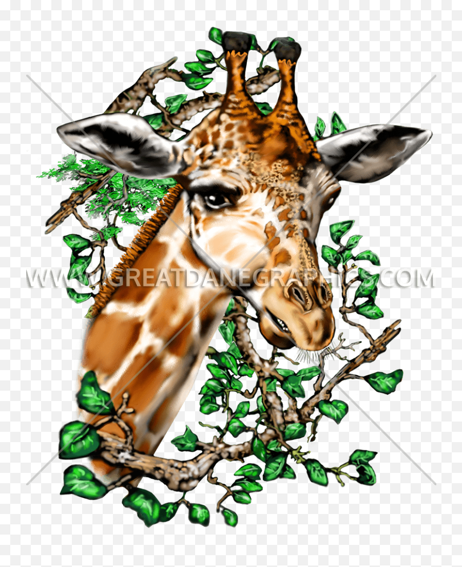Giraffe Production Ready Artwork For T - Shirt Printing Giraffe Png,Giraffe Transparent Background