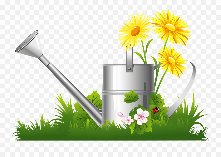 Clip Art First Day Of Spring 2016 Png Grass Top View