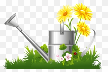 Clip Art First Day Of Spring 2016 Png Grass Top View