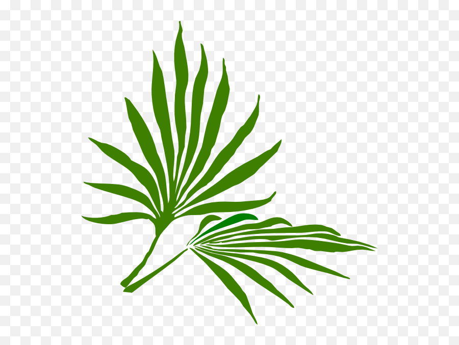 Palm Frond Png - Palm Frond Clip Art,Palm Frond Png