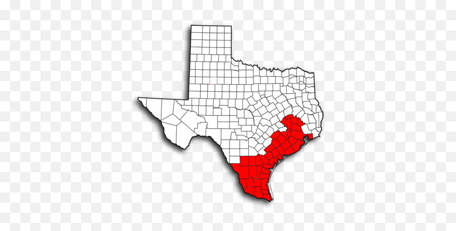 Southern District Of Texas Chapter Boundaries U2013 - Green Party Of Texas Png,Texas Map Png