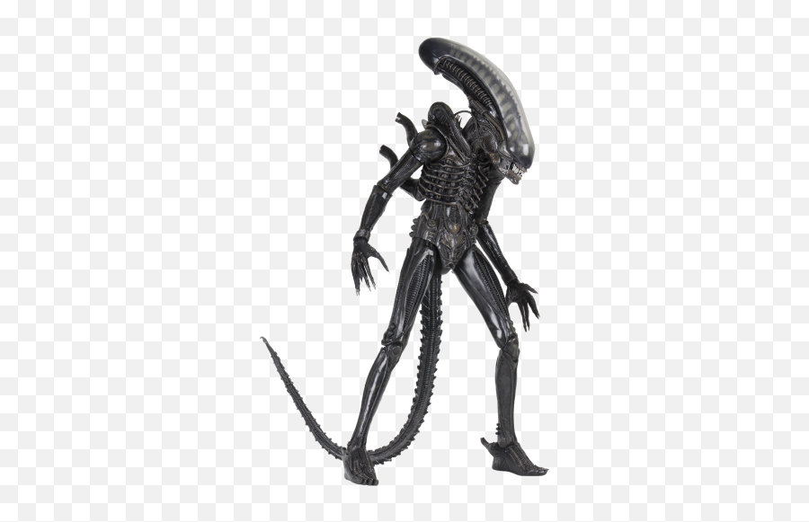 Alien - Big Chap 14 Scale Action Figure Alien Figure Png,Xenomorph Png