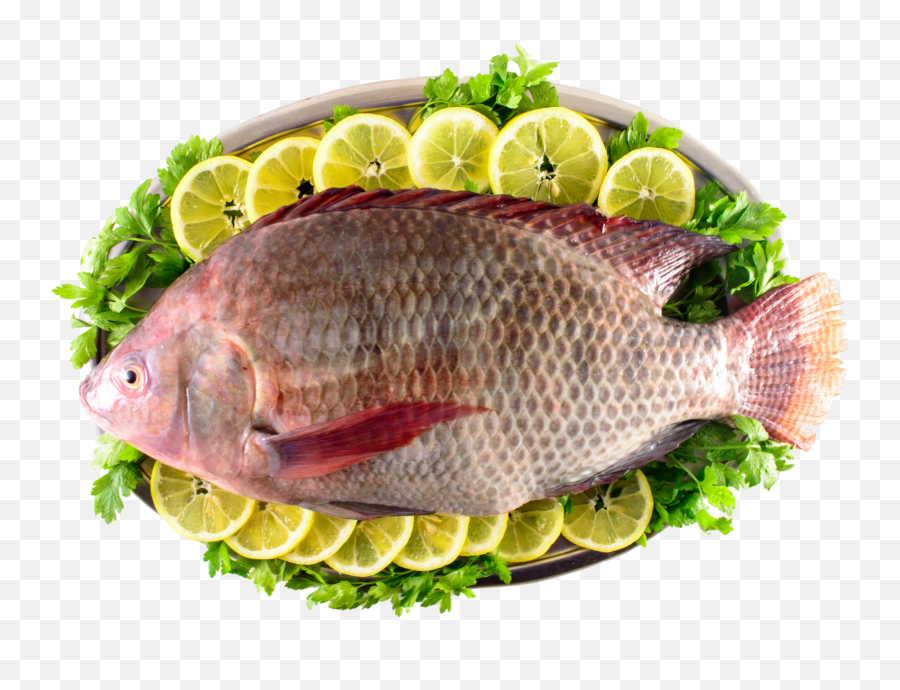 Tilapia Png - Tilapia 300 G 268763 Vippng Peixe Tilapia Png,Becky G Png