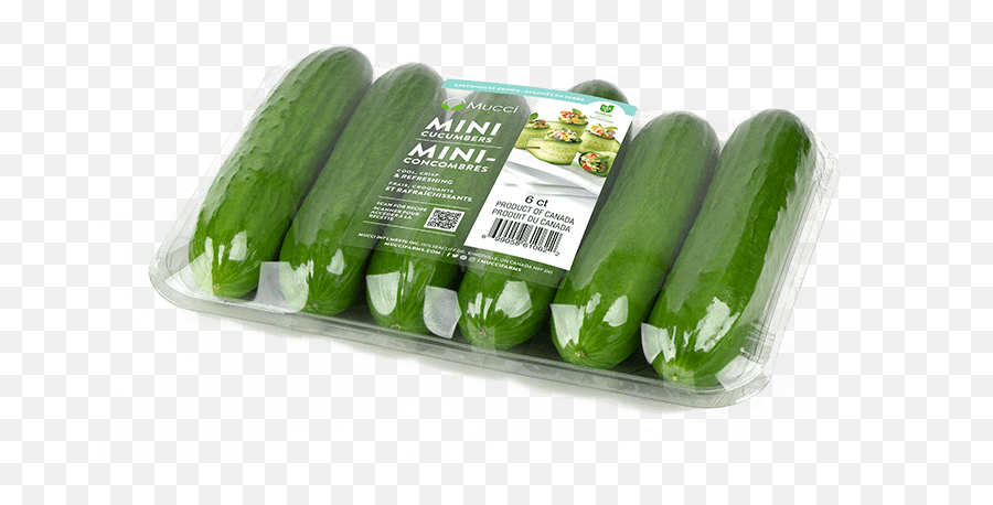 Mucci Farms - Mini English Cucumber Png,Cucumber Transparent