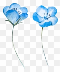 Watercolor Flowers Painting Hq Png - Vector
