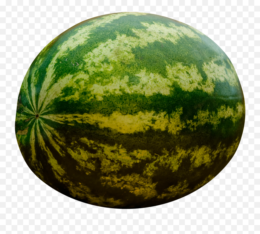 Pin By Udash - Watermelon Png,Melon Png
