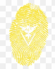 Download Free Photo Of Pokemonpokemon Goinstinctgame - Virgin Islands Flag Png,Zapdos Png