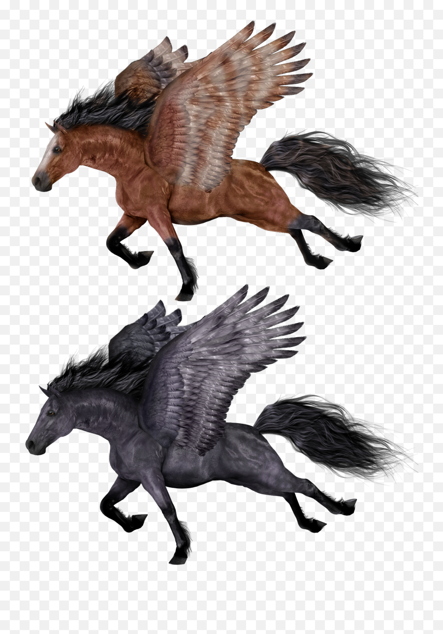 Pegasus Png Images Flying Horse