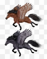 Pegasus Png Images Flying Horse