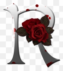 Letter R Png Transparent Images Free - Roses