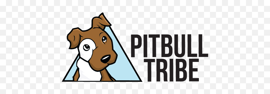 10 Reasons Why Pitbulls Are So Popular - Fitbit Charge 4 Unboxing Png,Pitbull Logo