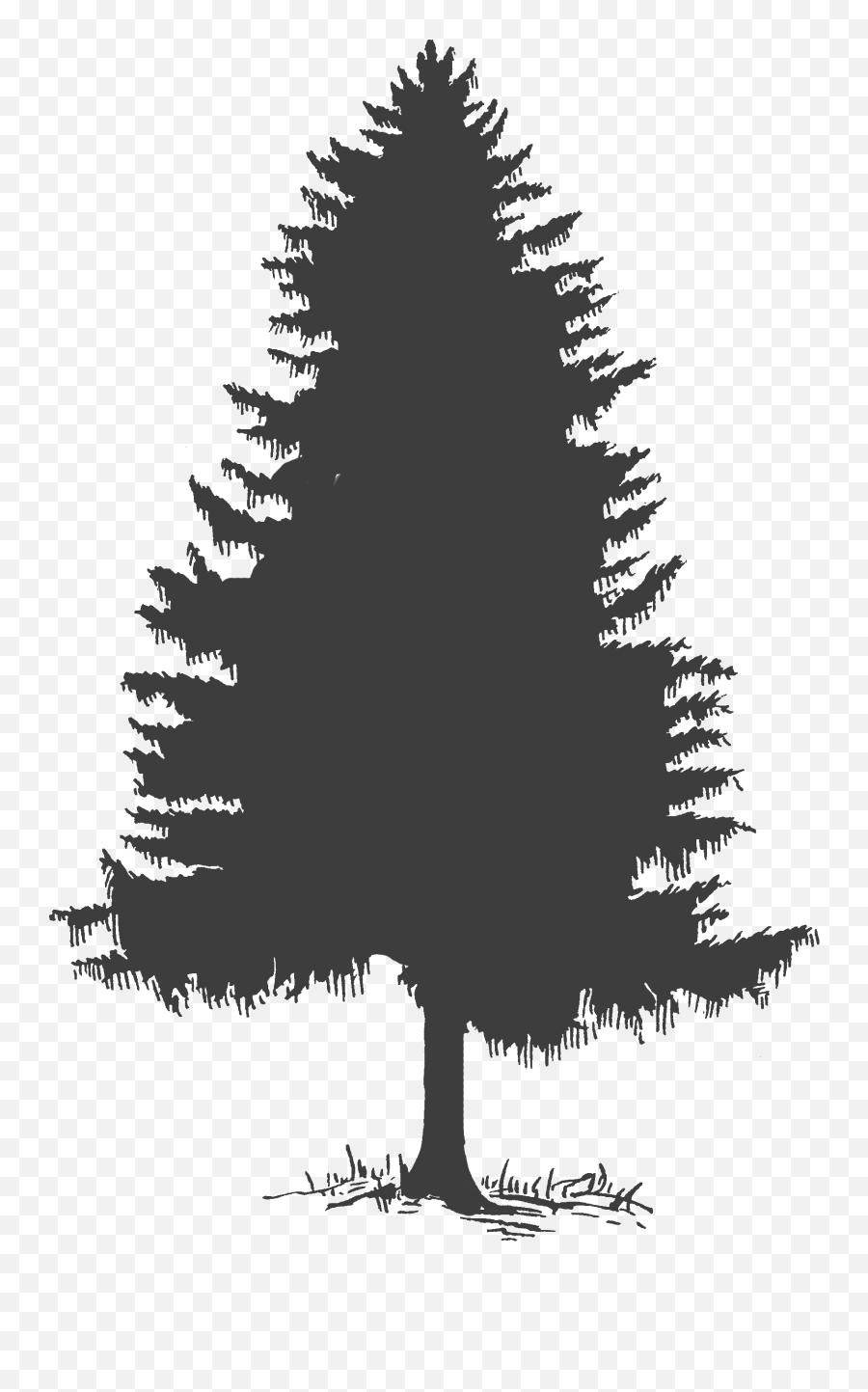Forest Clipart Tree - Evergreen Trees Silhouette Png,Forest Tree Png