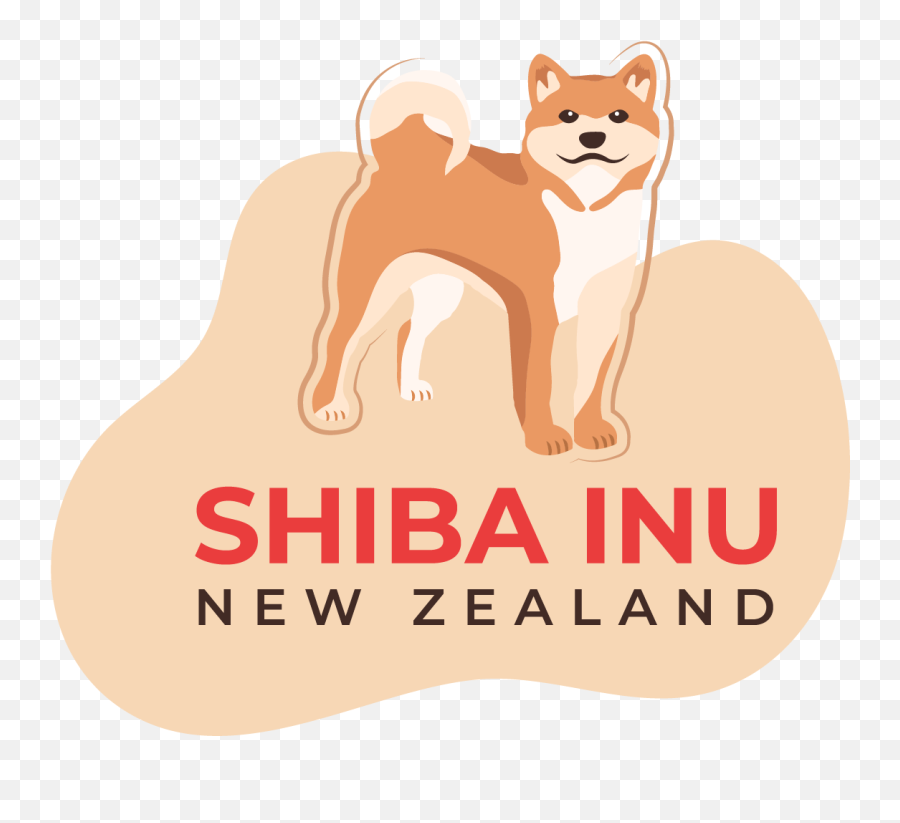 Shiba Inu New Zealand - Resources Tips And Tricks Trauma And Healing Foundation Png,Shiba Inu Png