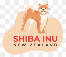 Shiba Inu New Zealand - Resources Tips And Tricks Trauma And Healing Foundation Png,Shiba Inu Png