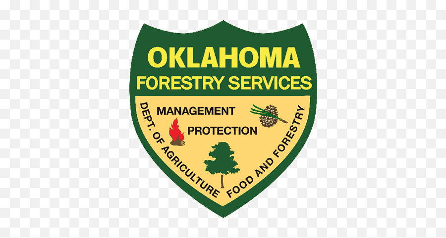 State Urban Forestry Coordinators - Vertical Png,Forest Service Logo