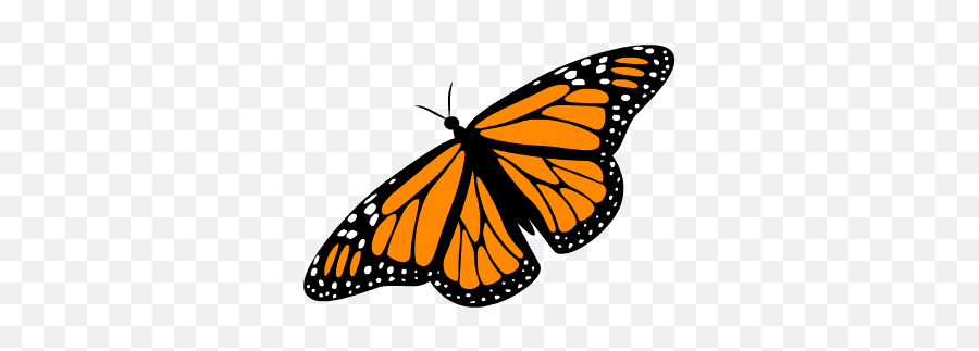 Featured image of post The Best 17 Butterfly Gif Transparent Background