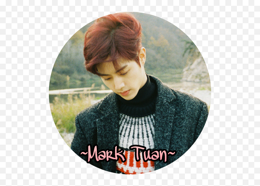 Got7 Marktuan Mark Sticker - Pixie Cut Png,Mark Tuan Icon