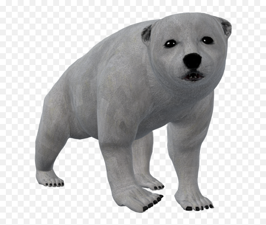 Bear Cub Png - Polar Bear Png Clipart,Polar Bear Png