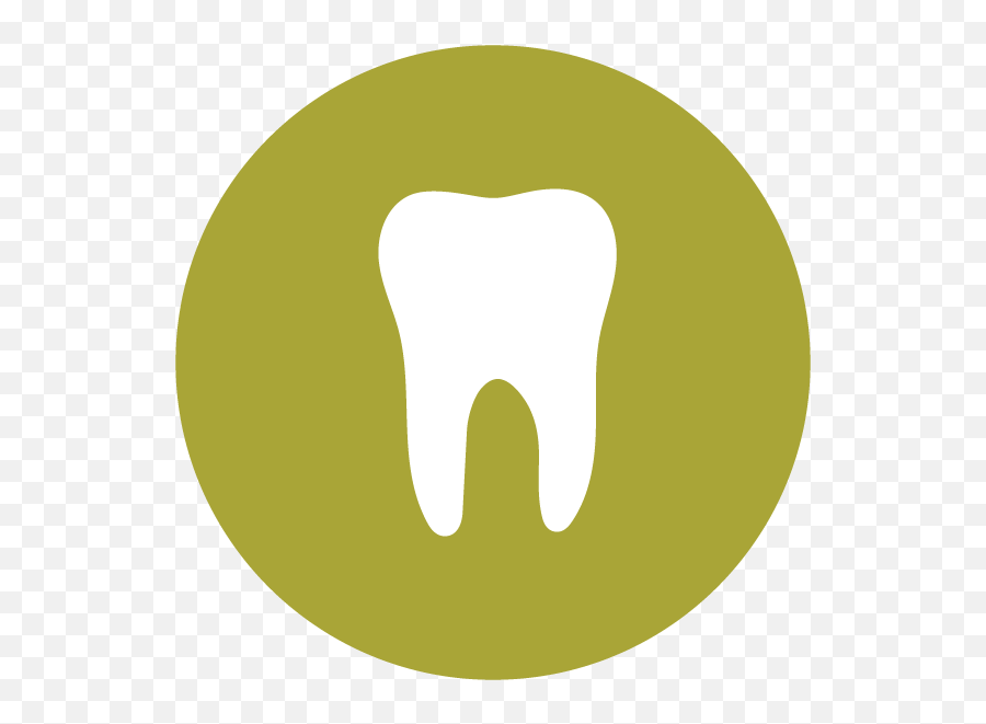 Bellevue Dentist Aalam Samsavar Dds Ps - Your Guide To A Language Png,Smile Teeth Icon